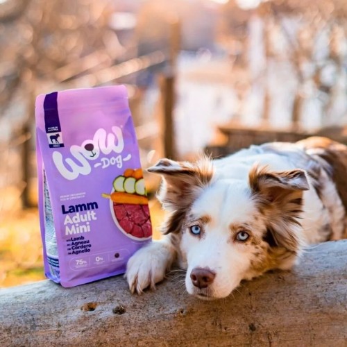 WOW-DOG-MINI-Lamm-z-jagniecina-batatami-i-cukinia-dla-psow-malych-ras-1kg_%5B4924%5D_1200.jpg