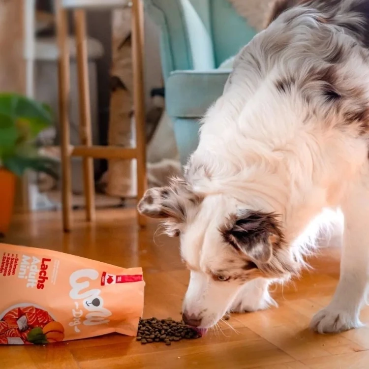 WOW-DOG-MINI-Lachs-z-lososiem-szpinakiem-i-batatami-dla-psow-malych-ras-1-kg_%5B4922%5D_1200.jpg