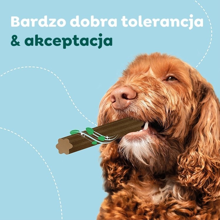 WOW-DOG-Natural-Dentals-Ma-i-gryzaki-dentystyczne-dla-psa-230g_%5B4948%5D_1200.jpg
