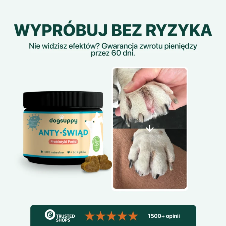 9b3e451ef4bdd2f943cb6eac007fa523.png