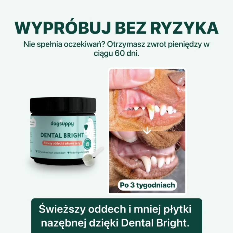 ebaf46ee0d08c39ba7c8fb14b11011af.png