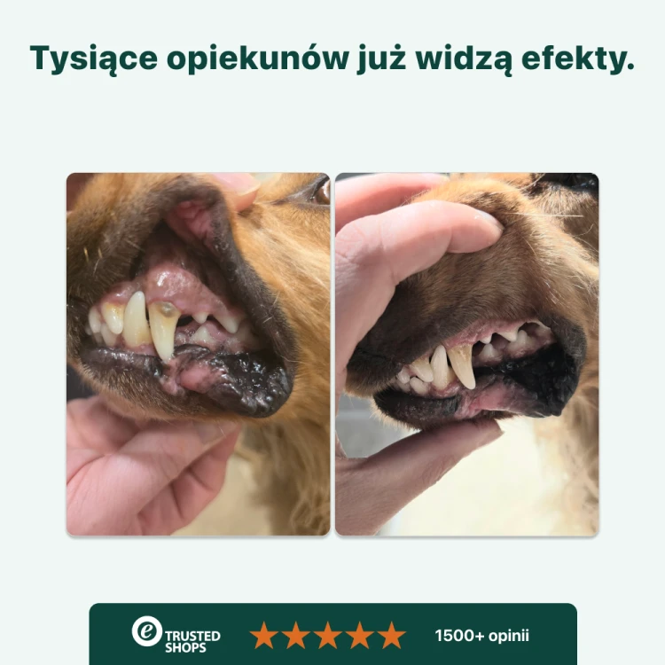 22d620a52417e16242ead48567b543f4.png