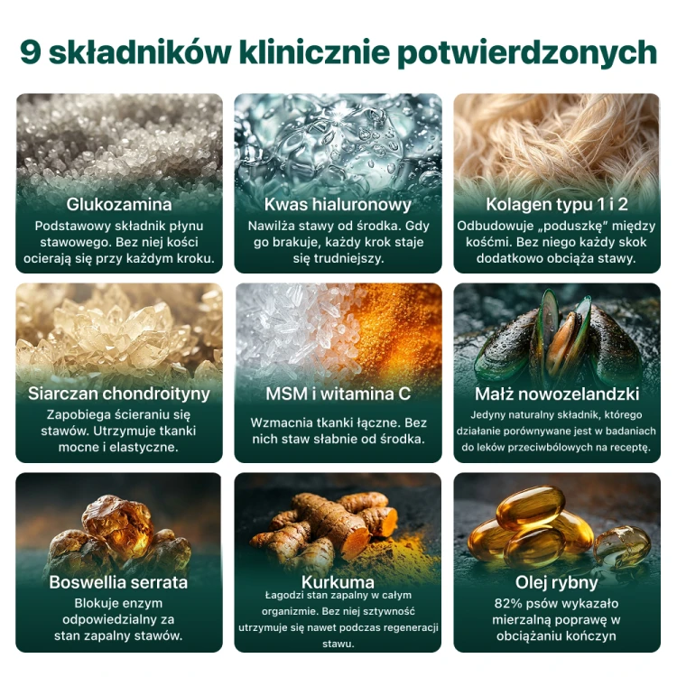 239f8d7d6d6cda0dbaaf8c216cc25516.png