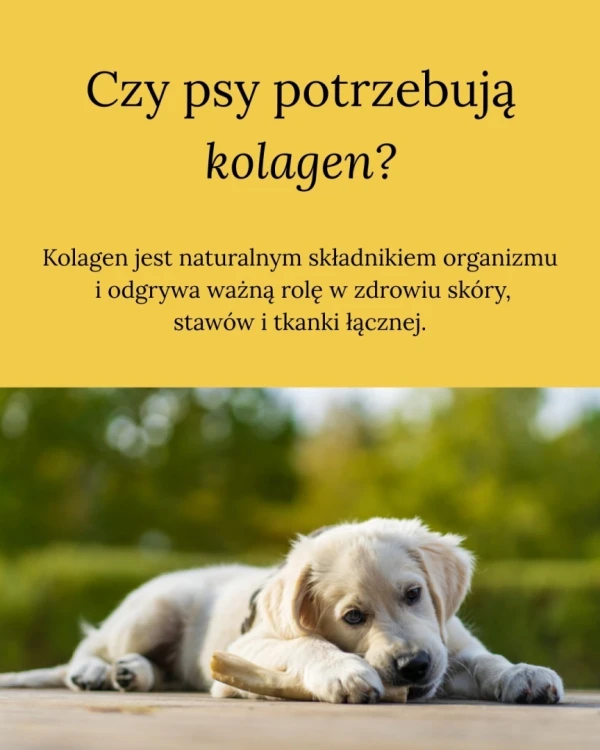 DOGS-LOVE-Smart-Chew-Collagen-Small-gryzaki-kolagenowe-3-szt-15g_%5B5102%5D_1200.jpg