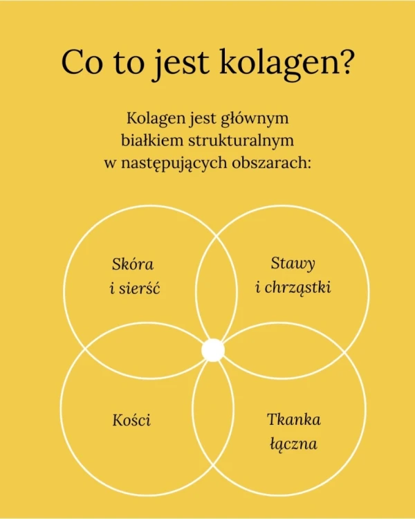 DOGS-LOVE-Smart-Chew-Collagen-Ma-i-gryzaki-kolagenowe-2-szt-65g_%5B5104%5D_1200.jpg
