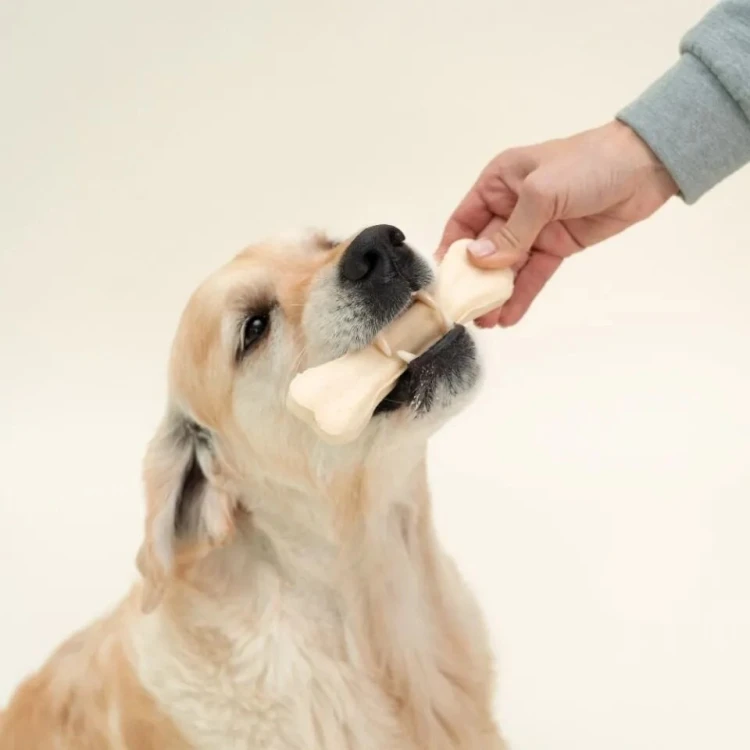 DOGS-LOVE-Smart-Chew-Collagen-Ma-i-gryzaki-kolagenowe-2-szt-65g_%5B5078%5D_1200.jpg