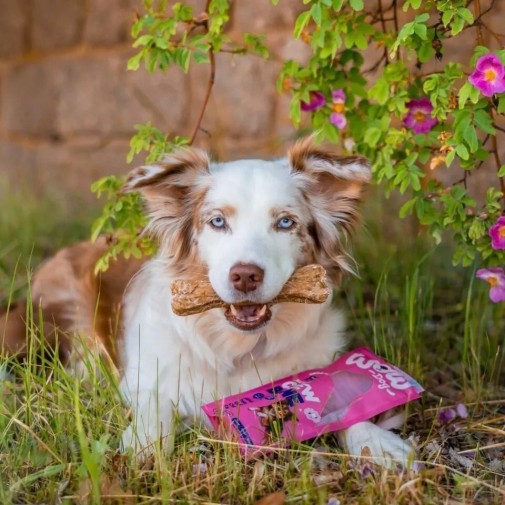 WOW-DOG-Natural-Chew-Bone-Hirsch-kosc-do-zucia-ze-skory-jelenia-80g_%5B5082%5D_1200.jpg