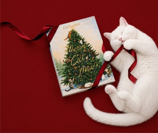 CATS-LOVE-kalendarz-adwentowy-dla-kota-z-przysmakami-liofilizowanymi-48g_%5B5344%5D_1200.jpg