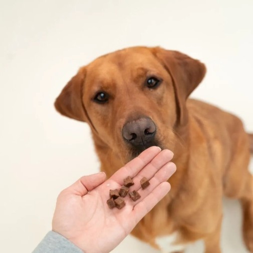 DOGS-LOVE-Training-Treats-Ente-przysmaki-treningowe-z-miesa-kaczki-150g_%5B5357%5D_1200.jpg