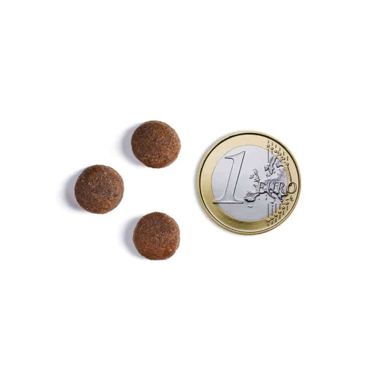 sklad-karmy-karma-sucha-dla-psa-ambrosia-mediterranean-sardynka-sledz-granulka.jpg