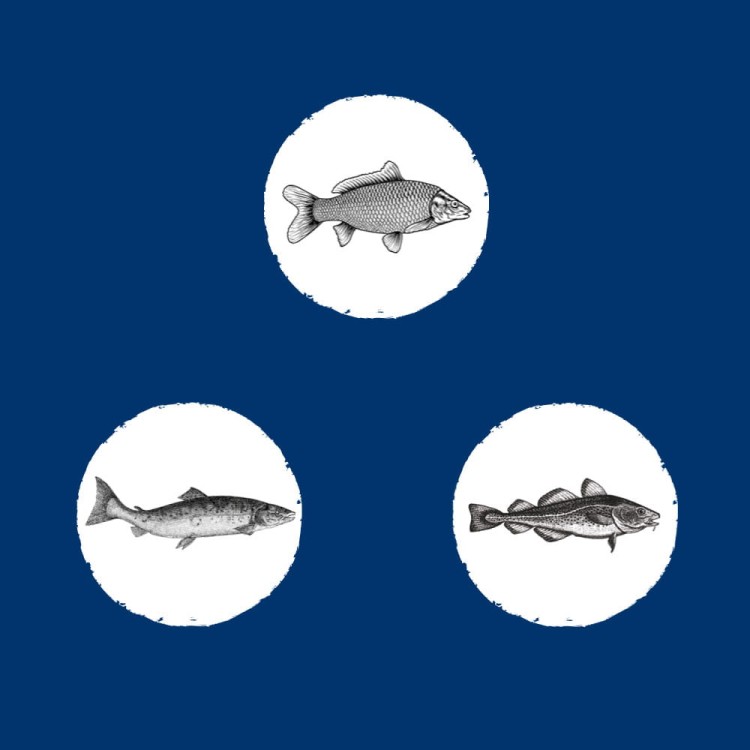 sklad-karmy-karma-sucha-dla-psa-eden-fish-skladniki.jpg