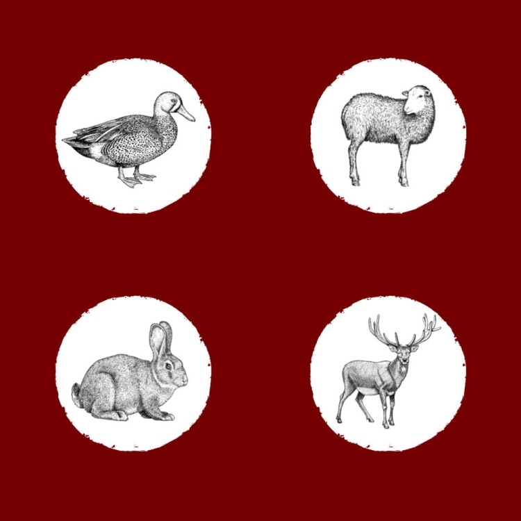 sklad-karmy-karma-sucha-dla-psa-eden-country-skladniki.jpg