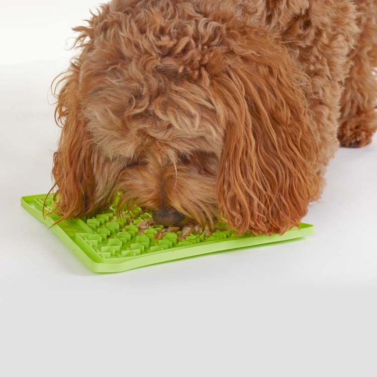 fish4dogs-filety-tunczych-anchois-karma-mokra-dla-psa-w-saszetkach-pies.jpg