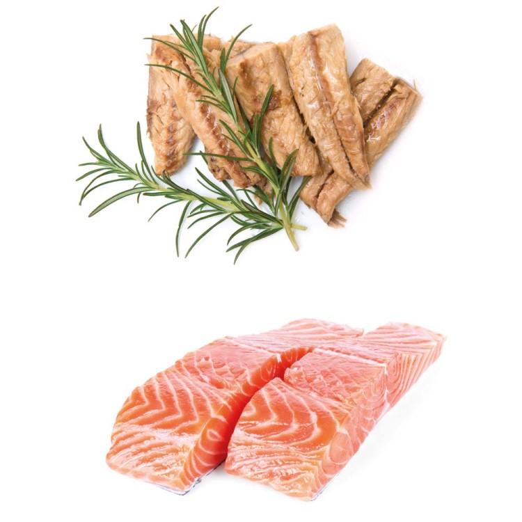 sklad-karmy-karma-mokra-dla-psa-fish4dogs-saszetki-biala-ryba-losos.jpg