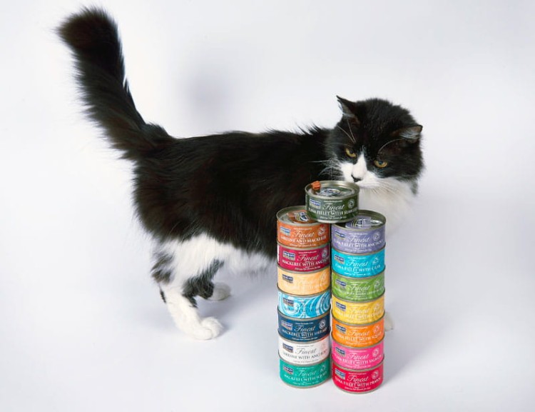 karma-mokra-dla-kota-fish4cats-puszki.jpg