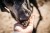 przysmaki-dla-psa-fish4dogs-freeze-dried-z-liofilizowanych-ryb5.jpg