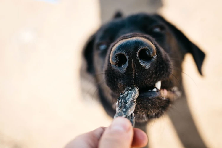 przysmaki-dla-psa-fish4dogs-sea-jerky-twists1.jpg