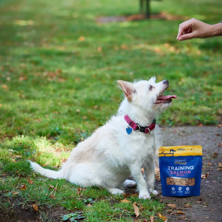 przysmaki-treningowe-dla-psa-fish4dogs-salmon-bites-pies.jpg