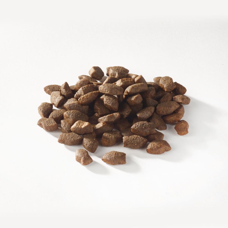 przysmaki-dla-szczeniaka-na-stawy-fish4dogs-puppy-salmon-morsels-granulki.jpg