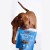 przysmaki-dla-szczeniaka-na-stawy-fish4dogs-puppy-salmon-morsels.jpg