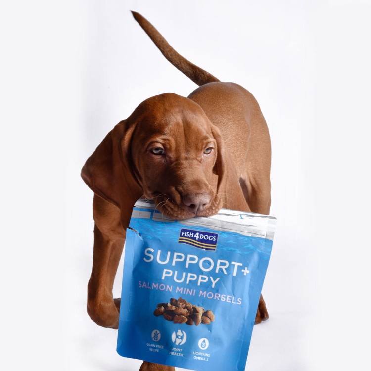 przysmaki-dla-szczeniaka-na-stawy-fish4dogs-puppy-salmon-morsels.jpg