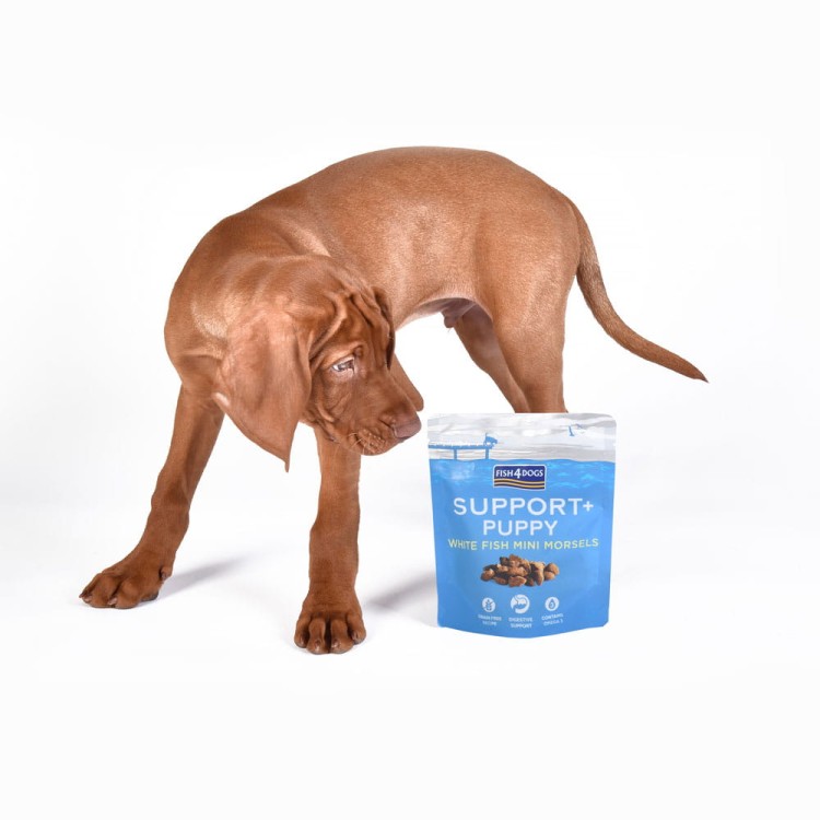 przysmaki-dla-szczeniaka-na-trawienie-fish4dogs-puppy-white-fish-morsels-pies.jpg