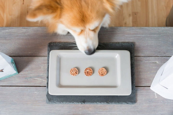 przysmaki-dla-psa-fish4dogs-squid-bites-smakolyk-z-kalamarnic1.jpg