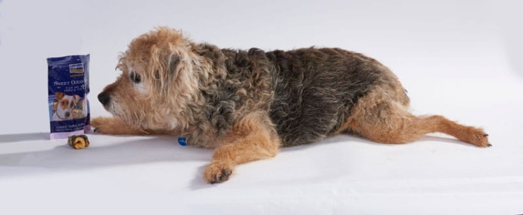 przysmaki-dla-psa-fish4dogs-sweet-ocean-wraps.jpg