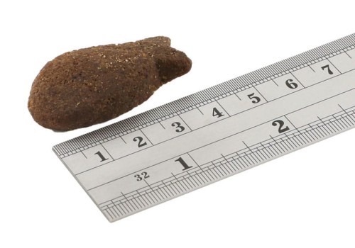 przysmaki-dla-psa-fish4dogs-mackerel-morsels-granulki.jpg
