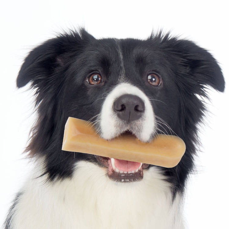 sklad-karmy-przysmaki-dla-psa-ollo-himalayan-cheese-chew-ser-himalajski-pies2.jpg