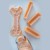 sklad-karmy-przysmaki-dla-psa-ollo-himalayan-cheese-chew-ser-himalajski-skladniki1.jpg