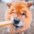 sklad-karmy-przysmaki-dla-psa-ollo-himalayan-cheese-chew-ser-himalajski-pies1.jpg