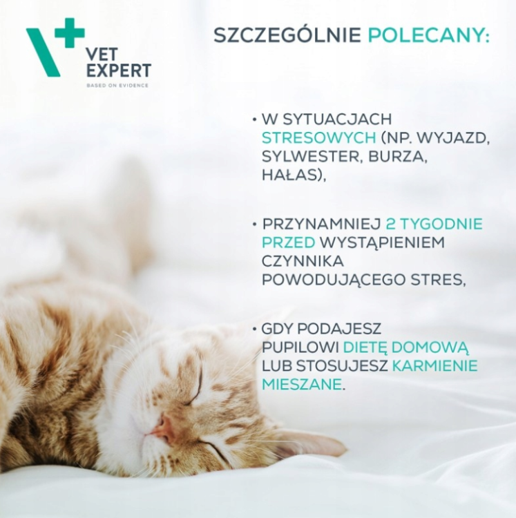 Zrzut ekranu 2024-11-23 233651.png