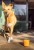 e7d3088a81799be4a7278634142a19af.jpeg