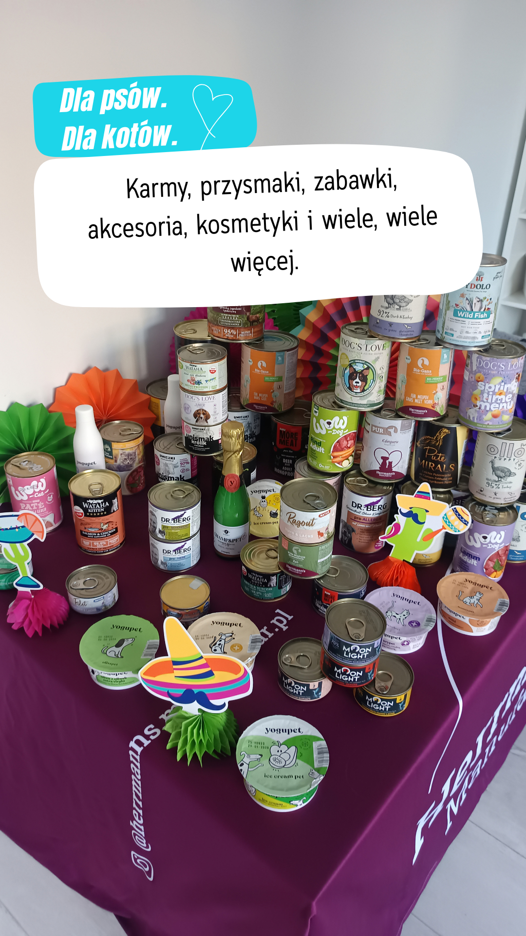 Zdjęcie przykładowych produktów